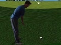 Lojë Flash Golf 3D