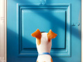 Lojë The Secret Life of Pets Numbers 