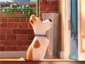 Lojë Hidden Letters in The Secret Life of Pets