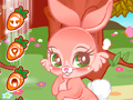 Lojë Cute Bunny