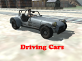 Lojë Driving Cars