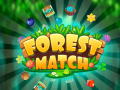 Lojë Forest Match