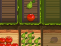 Lojë Fruit Gardener