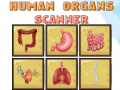Lojë Human Organs Scanner