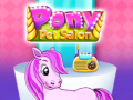 Lojë Pony Pet Salon