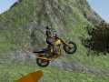 Lojë Dirt Bike Rider