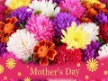 Lojë 2019 Mother's Day Puzzle