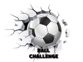 Lojë Ball Challenge