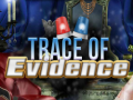 Lojë Trace of Evidence
