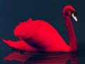 Lojë Love Birds Puzzle