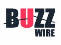 Lojë Buzz Wire