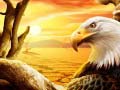 Lojë Eagle