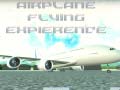 Lojë Airplane Flying Expierence