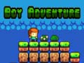Lojë Boy Adventure