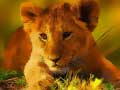 Lojë Wild Baby Animals Jigsaw