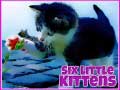 Lojë Six Little Kittens
