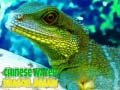 Lojë Chinese Water Dragon Jigsaw