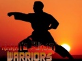 Lojë Karate Sunset Warriors