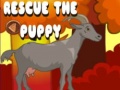 Lojë Rescue The Puppy
