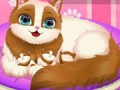 Lojë Cute Kitty Pregnant