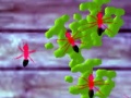 Lojë Smash Ants