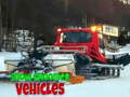 Lojë Snow Groomer Vehicles