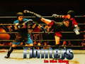 Lojë Fighters in the Ring