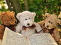 Lojë Cuddly Three Teddy Jigsaw