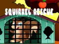 Lojë Squirrel Rescue