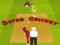 Lojë Super Cricket 