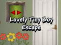 Lojë Lovely Tiny Boy Escape