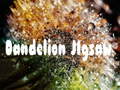 Lojë Dandelion Jigsaw