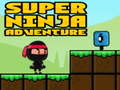 Lojë Super Adventure Ninja