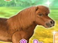 Lojë My Dear Pony
