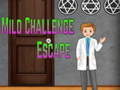 Lojë Amgel Mild Challenge Escape