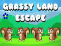 Lojë Grassy Land Escape