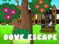 Lojë Dove Escape