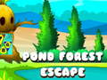 Lojë Pond Forest Escape