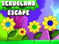 Lojë Scrubland Escape