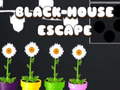 Lojë Black House Escape