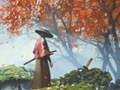 Lojë Samurai Reflexion