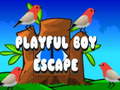 Lojë Playful Boy Escape