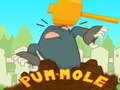 Lojë Pum-Mole