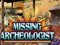 Lojë Missing Archeologist