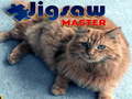 Lojë Jigsaw Master 