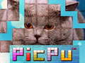 Lojë PicPu Cat 