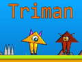 Lojë Triman