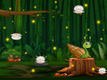Lojë Snail Run