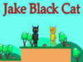 Lojë Jake Black Cat