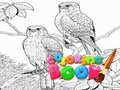 Lojë Coloring Book for Adults